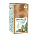 Naturalis Permanent Hair Color Cream Set | 9.3 Light Golden Blonde | 100% Vegan, No Ammonia, No Silicones, No Parabens